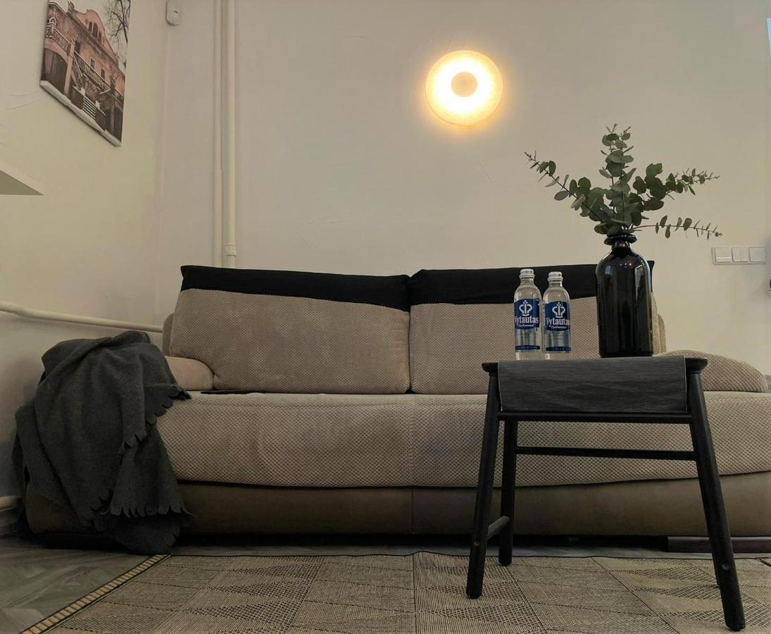 Linkuva Manor Apartment Kaunas Extérieur photo